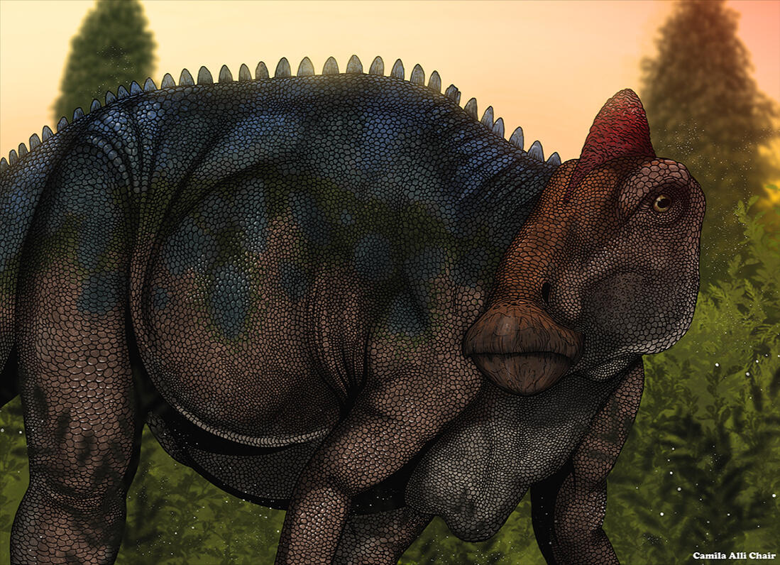 Edmontosaurus