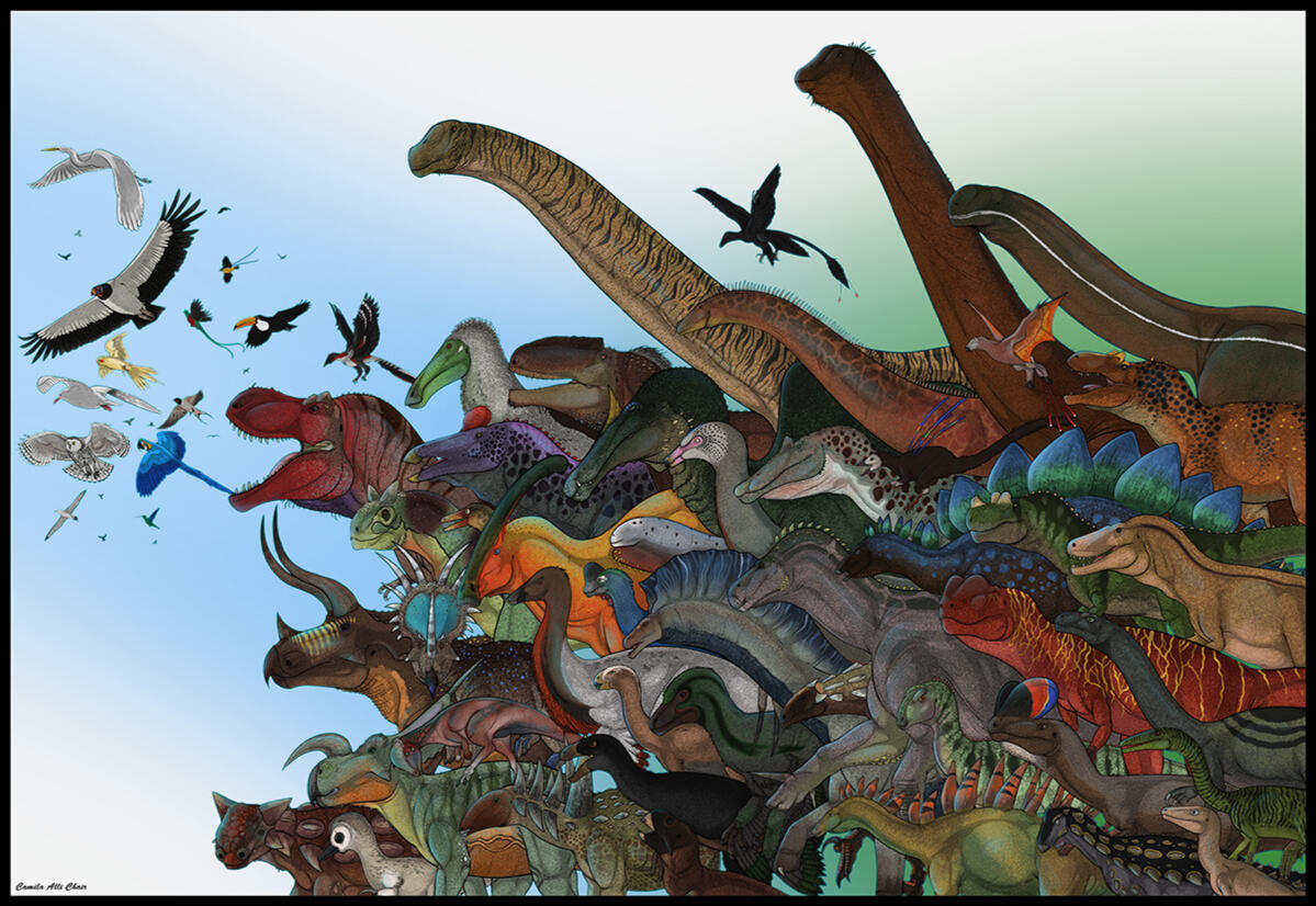 "Dinosaur Stampede"