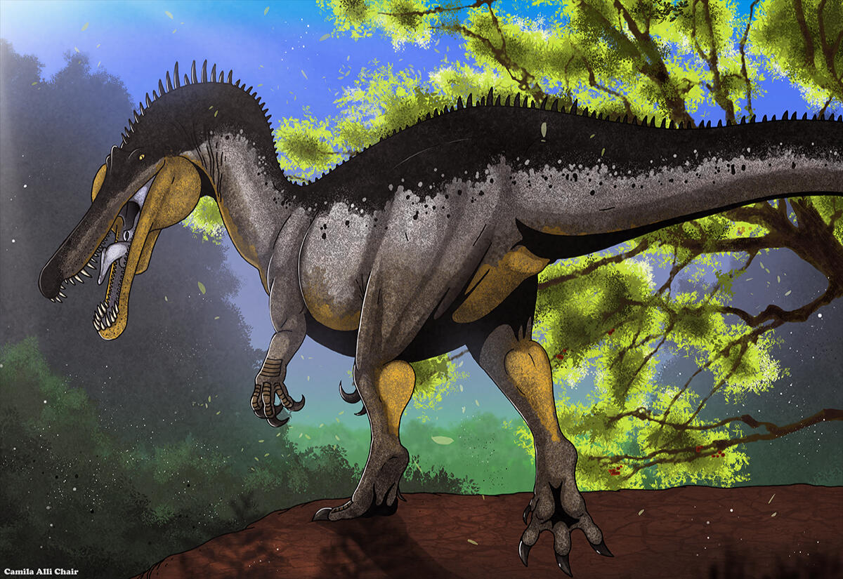 Suchomimus