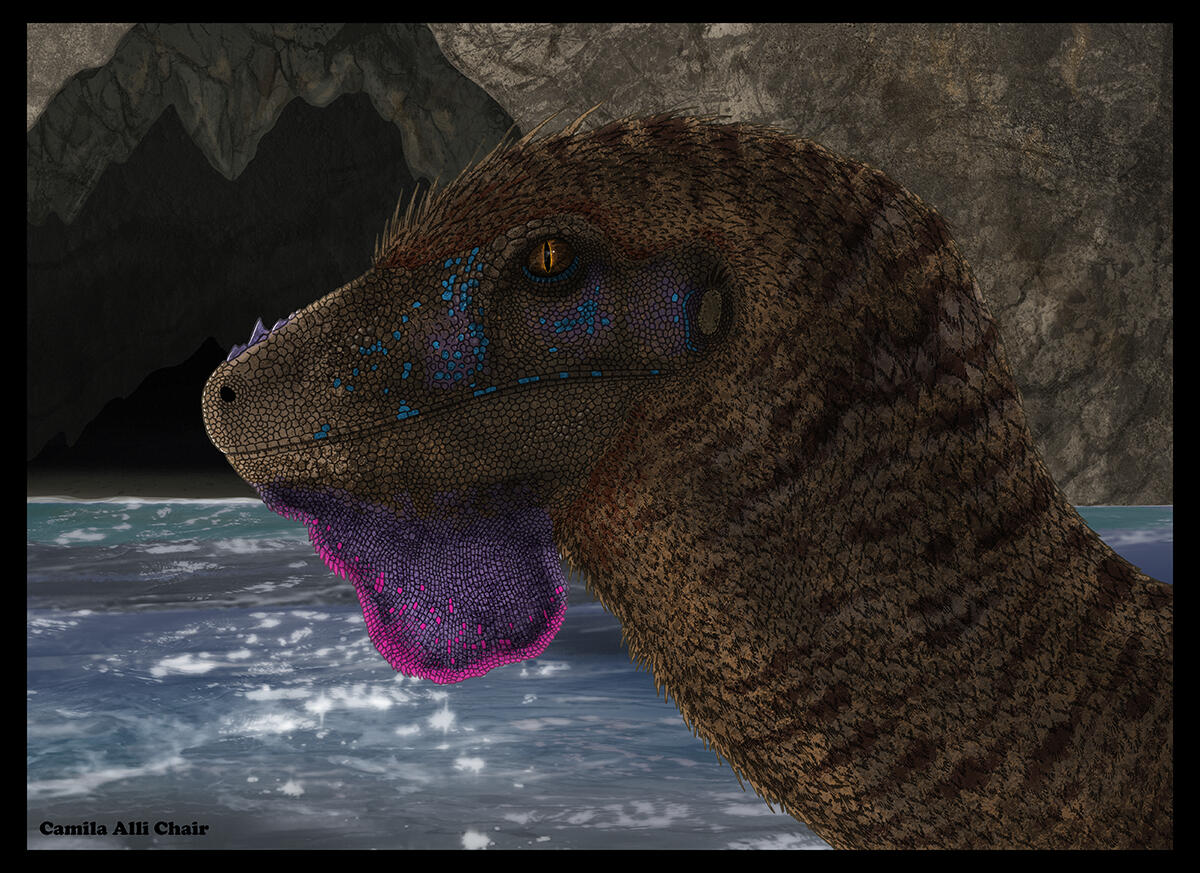 Ornitholestes