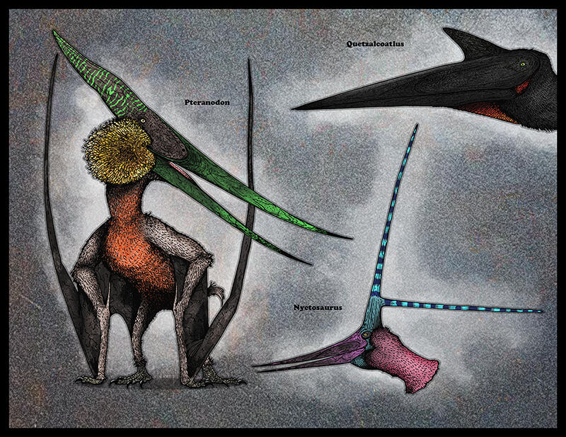 Pterosauria