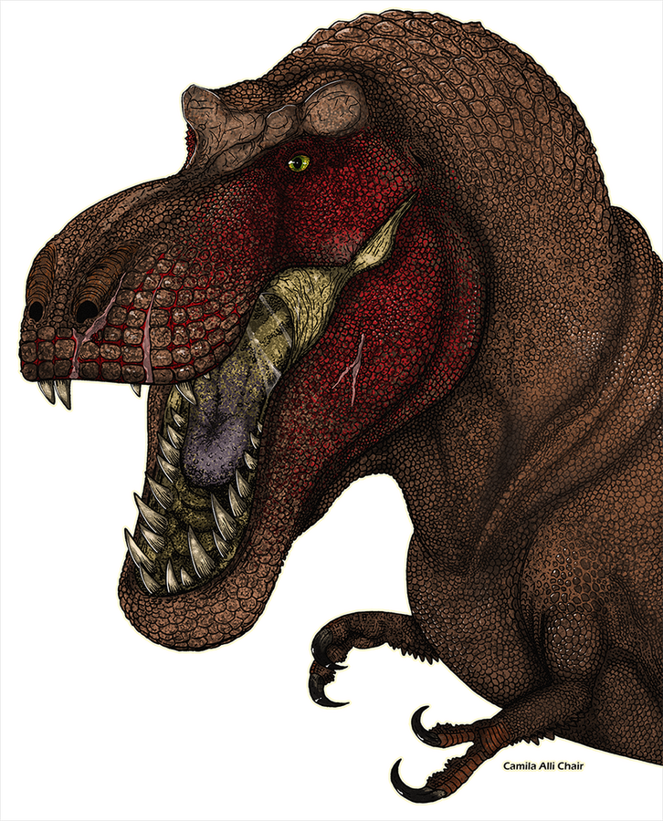 Tyrannosaurus