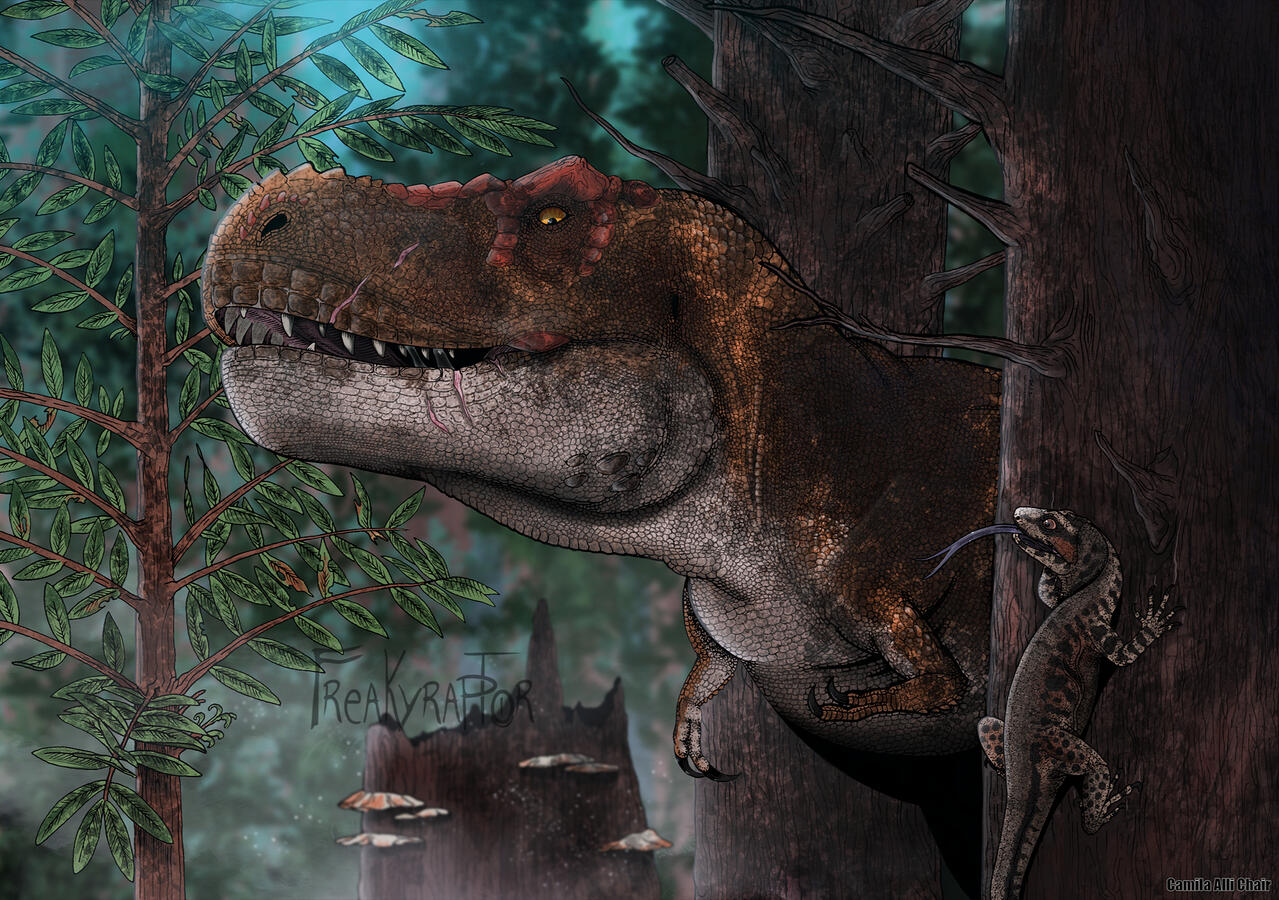 Tyrannosaurus and Lizard