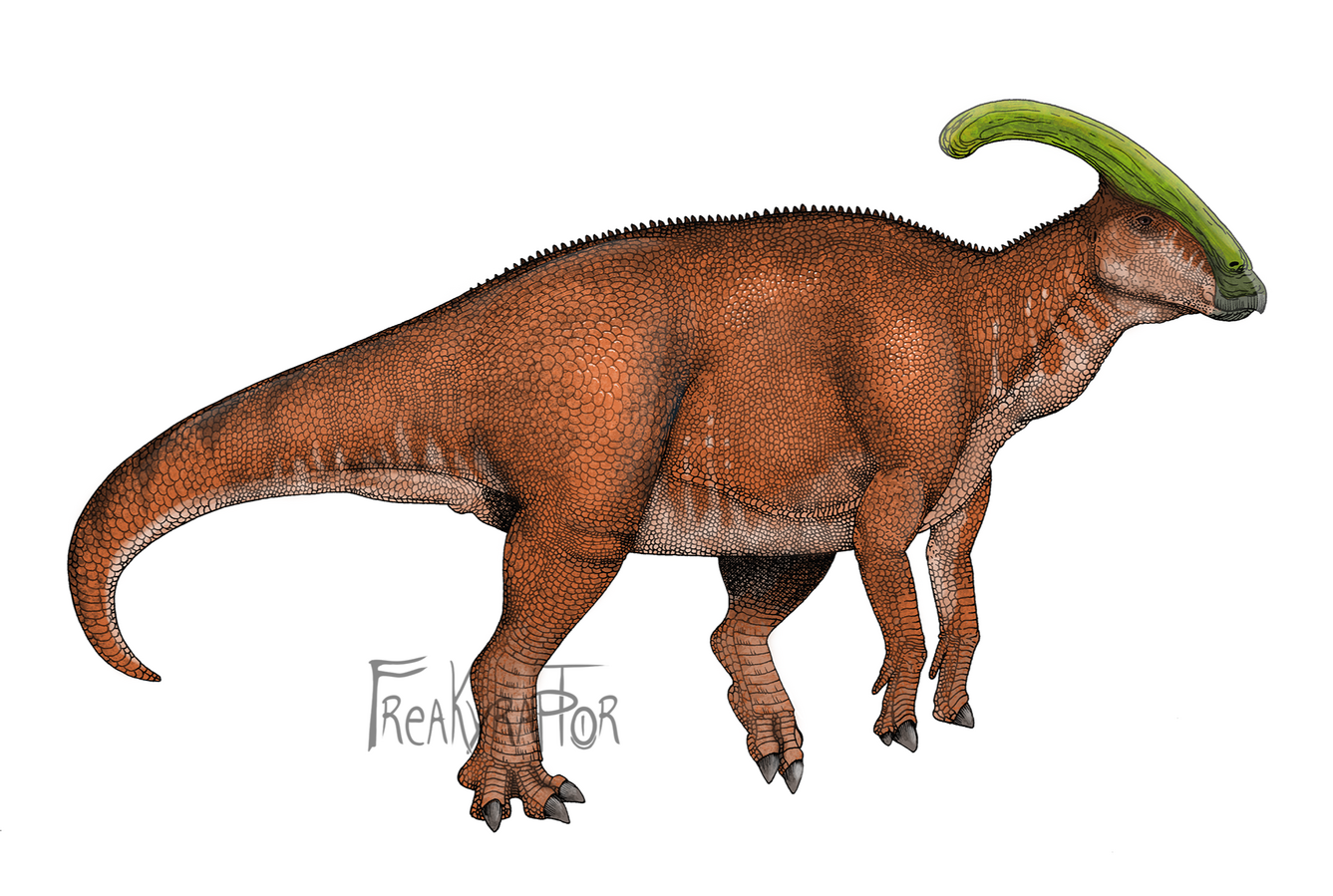 Parasaurolophus