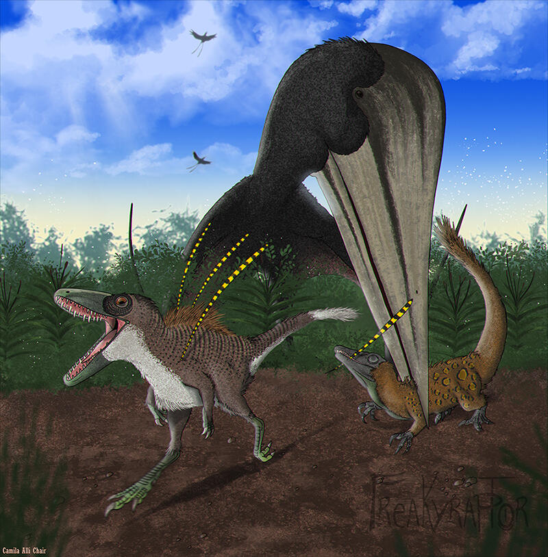 Pterosaur Attack