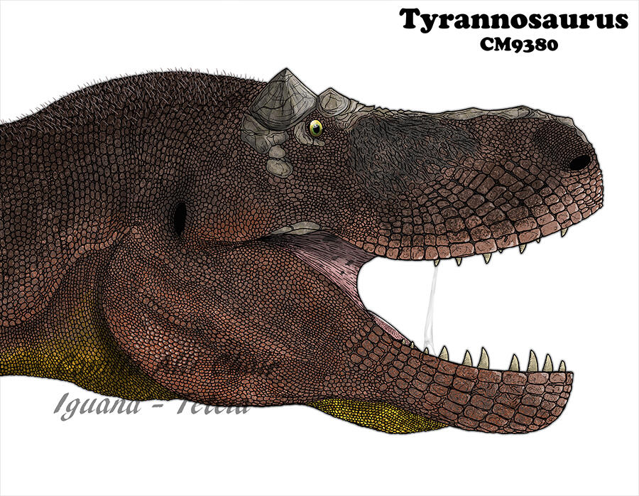 Tyrannosaurus